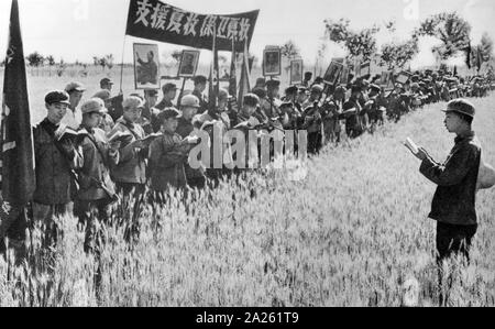 People's Liberation Army officers study Mao Zedong Quotations before working on a wheat harvest. 1966 Stock Photo