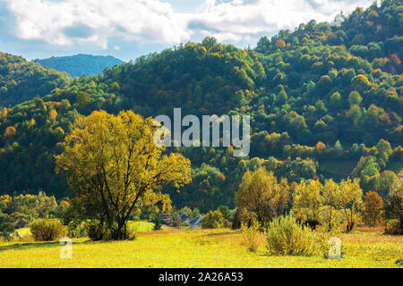 wonderful rural landscape in mountains. sunny autumn weather with clouds on the sky. trees in yellow foliage in the grassy meadow. village at the foot Stock Photo