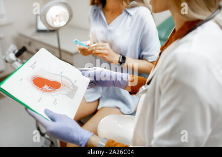 Gynecologist showing a picture with uterus to a young woman patient, explaining the features of women's health during a medical consultation in the of Stock Photo