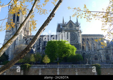 Scene showing the impact of the fire which damaged Notre Dame Cathedral the morning after the fire was extinguished. damaged window can be seen. Stock Photo