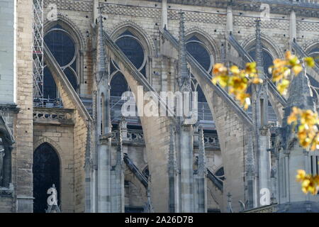 Scene showing the impact of the fire which damaged Notre Dame Cathedral the morning after the fire was extinguished. Stock Photo