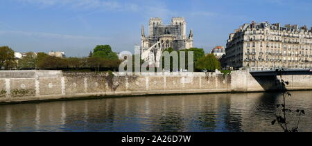 Scene showing the impact of the fire which damaged Notre Dame Cathedral the morning after the fire was extinguished. The destruction of the roof can be seen Stock Photo