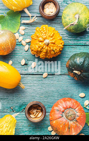 Set of autumn pumpkins on old wooden table.Autumn symbol Stock Photo