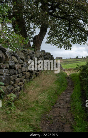 A walking trail on the West Yorkshire moors near the Pennine Way, in Bronté Country, with a dry stone wall Stock Photo