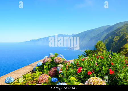 Colorful flowers and beautiful northern coast of Madeira Island, Portugal. Typical Hydrangea, Hortensia flowers. Amazing coast by Ribeira da Janela. Green landscape by Atlantic ocean. Eternal spring. Stock Photo