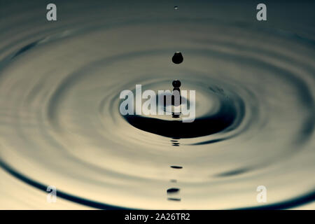 Oil splashes and drops Stock Photo