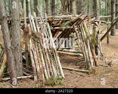 Tree Shelter Made Of Branches Brown Leaves And Sticks In The Woods Of Esher Common Elmbridge Surrey Stock Photo Alamy