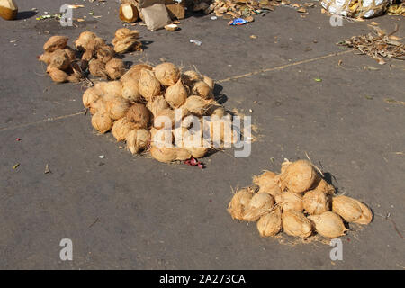 Coconuts for sale in Darajani Market, Stone Town, Zanzibar, Unguja Island, Tanzania. Stock Photo