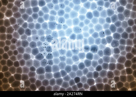 Polystyrene foam slice texture. Abstract background Stock Photo