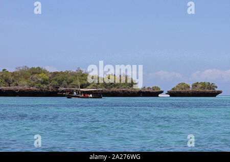 Traditional tourist sailing boat in front of a mangrove off the the coast of Zanzibar, Unguja Island, Tanzania. Stock Photo