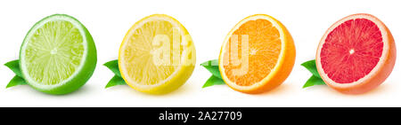 Isolated citrus. Fresh fruits sliced in a row on a white background. Stock Photo