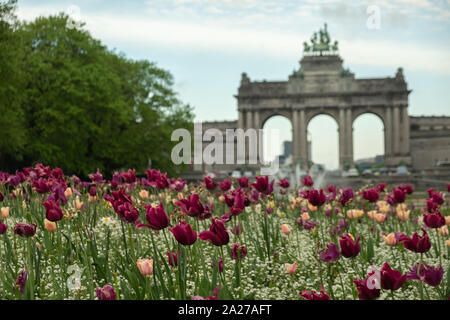 Blooming pretty flowers at Jubilee Park in Brussels. Triumphal Arch on the background Stock Photo