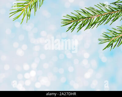 Fir tree branches on blurred shiny bokeh. Winter holidays concept Stock Photo