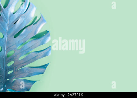 Tropical painted palm leaf Monstera on neo mint color. Abstract pattern for design and space for text. Stock Photo