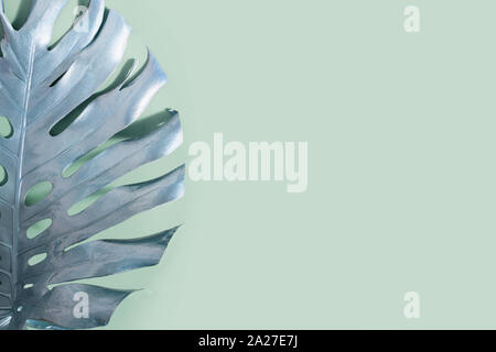 Tropical painted palm leaf Monstera on neo mint color. Abstract pattern for design and space for text. Stock Photo