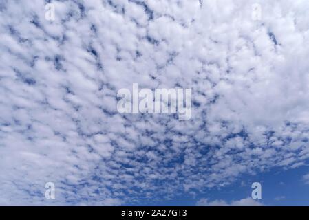 Large Sheep Clouds, Altocumulus, Bavaria, Germany Stock Photo