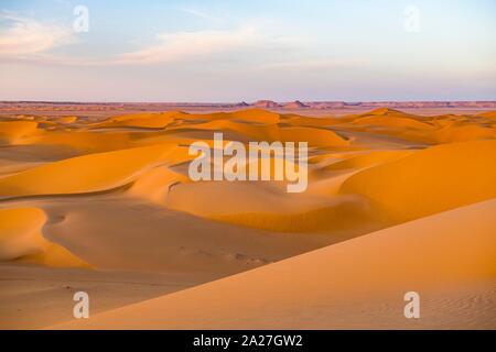 Evening light in the sanddunes of the Sahara, Timimoun, Algeria Stock Photo