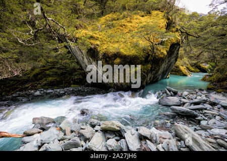 A Blue Stream On the Rob Roy Glacier Track. Mt Aspiring National Park, New Zealand Stock Photo