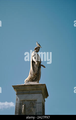 A bird perched on the head of the statue of Napoleon as First Consul in Place Foch piazza in Ajaccio Corse-du-Sud Corsica Stock Photo