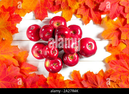 Yellow maple leaves and red juicy apples lie on a white wood background Stock Photo