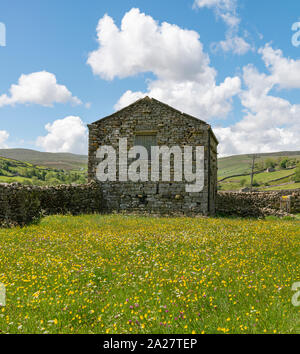 Wild flower meadows and barns in Swaledale Stock Photo