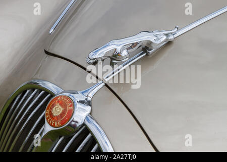The classic leaping jaguar bonnet mascot on a Mk. II Jaguar. Stock Photo