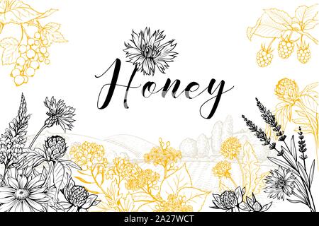 Flower honey vector hand drawn banner template. Natural homemade product poster layout with lettering. Wildflowers sketch on rural village landscape background. Organic food packaging design Stock Vector