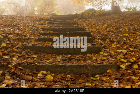 Lonely steps, Surprise View Stock Photo