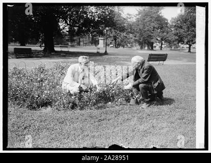 Prof. A.S. Hitchcock, Ag. Dept. & Dr. Otto Stapf at Ag. Dept., 9/2/24 Stock Photo