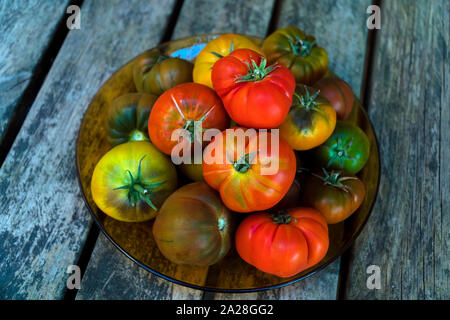 Organic chocolate tomatoes and red tomatoes are on a wooden table with natural soft light Stock Photo