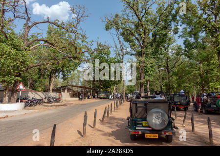 Landscape of Kanha national park or Kanha tiger reserve Madhyapradesh Indiia in summer. Stock Photo