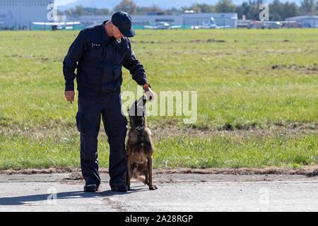 A police dog and his handler during a drug detection demonstration. Grass field and airport in background. Stock Photo