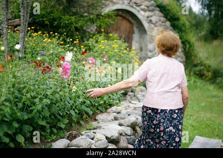 Lonely elderly woman wandering in the garden in summer touches asters. Happy elderly woman walking in the garden enjoying the retirement. Stock Photo