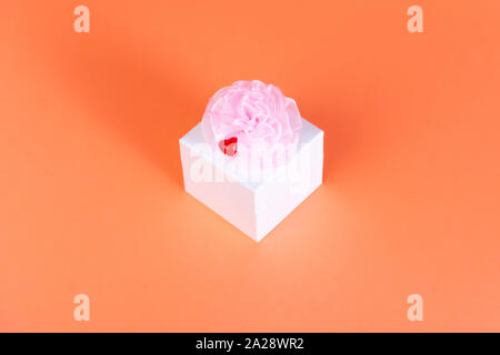 white square box on an orange background with a pink bow and red small heart Stock Photo