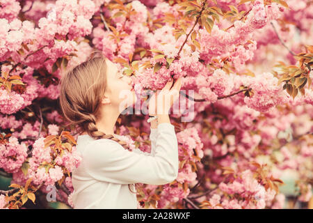 Tender bloom. Pink is the most girlish color. Bright and vibrant. Pink is my favorite. Little girl enjoy spring. Kid on pink flowers of sakura tree background. Kid enjoying pink cherry blossom. Stock Photo