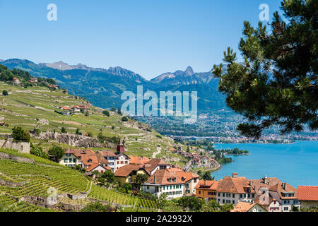 View on a picturesque little winery village called Rivaz, in the beautiful famous Lavaux winery area in Switzerland with the Swiss alps in the backgro Stock Photo