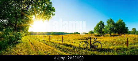 Landschaft im Sommer mit Bäumen und Wiesen bei strahlendem Sonnenschein Stock Photo