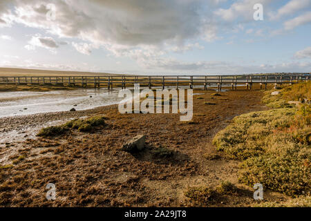 Wooden walkway at Chesil beach nature reserve, near the isle of Portland, Jurassic Coast, Dorset, South west England, UK. Stock Photo