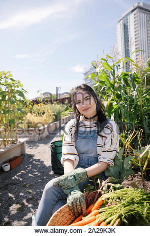Portrait happy, confident young woman harvesting fresh carrots in sunny, urban community garden