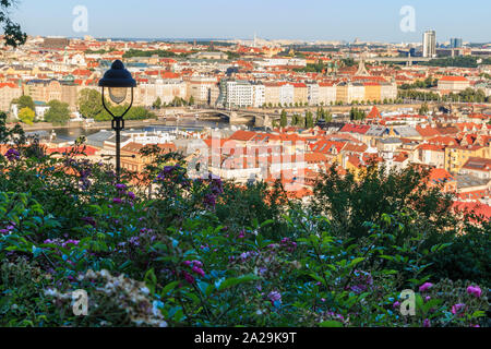 Above the roofs and historical buildings of the district Mala Strana in Prague with green area, lilac flowers and street lamp on a sunny day with tree Stock Photo