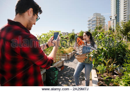 Young man with camera phone photographing playful girlfriend with carrots in sunny, urban community garden