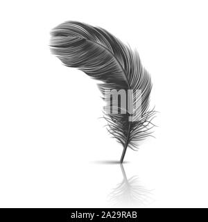 Vector 3d Realistic Falling White Fluffy Twirled Feather With Reflection  Closeup Isolated On White Background Design Template Clipart Of Angel Or  Detailed Bird Quill Stock Illustration - Download Image Now - iStock