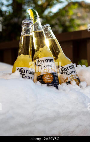 Three Corona beer bottles with lime on ice snow, with trees on the background Stock Photo