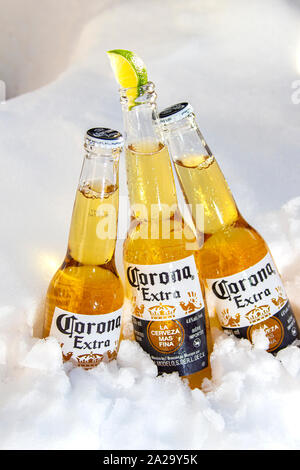 Three Corona beer bottles with lime on ice snow, full view. Stock Photo