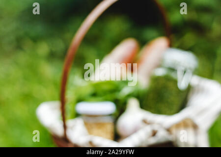 Mock up out of focus of Italian picnic basket with food: baguette bread, Pesto sauce in the park on a green nature background. Blurred image. Stock Photo
