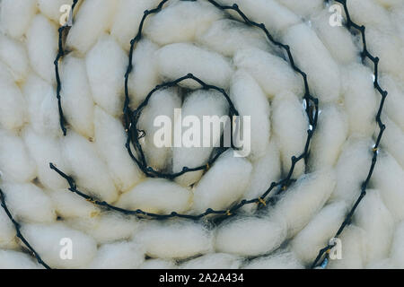 Close up to natural white silkworm cocoon shell in black plastic weave tray. Silkworm cocoon background. Stock Photo