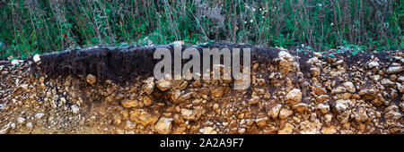 Soil cut-sandstone, stones, clay, sand structure and layers. slice of sand with layers of different structures. Layers of sedimentary sandstone rock Stock Photo