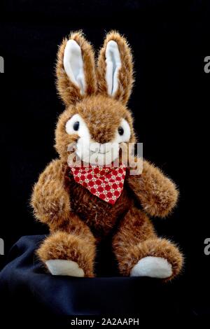 plush easter bunnies in front of an isolated black background Stock Photo