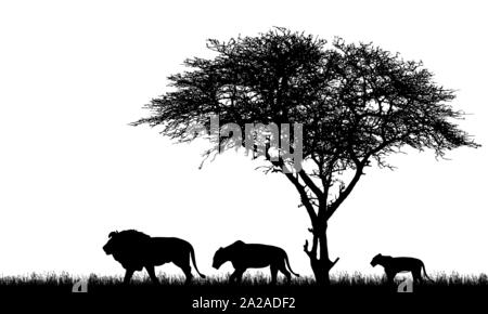 Realistic illustration of silhouette African safari landscape with tree, lions family, lioness and lion cub and grass on savanna - vector Stock Vector