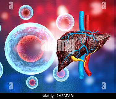 viral infection on human  liver. 3d illustration Stock Photo